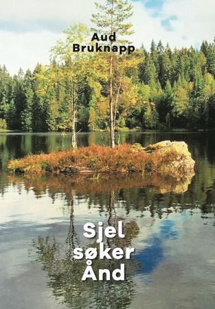Omslag: Sjel søker Ånd av Aud Bruknapp
