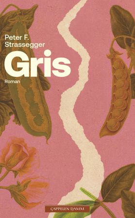 Gris: roman