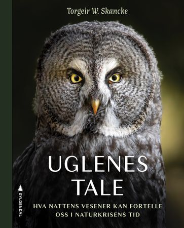 Omslag: Uglenes tale av Torgeir Wittersø Skancke