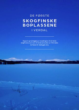 De første skogfinske boplassene i Verdal