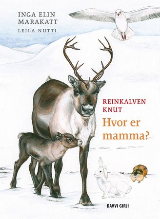 Reinkalven Knut