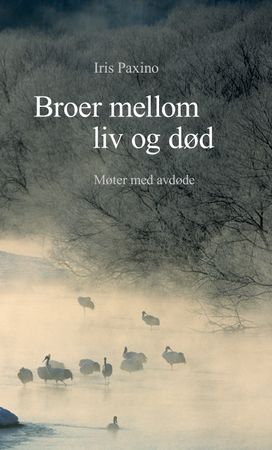Broer mellom liv og død