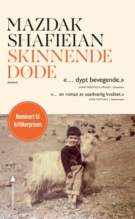 Omslag: Skinnende døde av Mazdak Shafieian