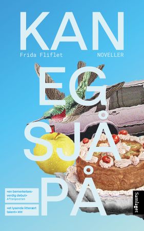 Kan eg sjå på: noveller