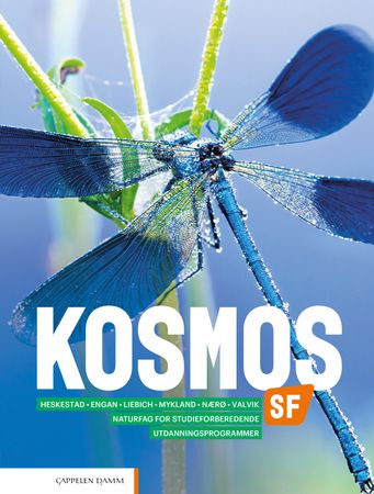 Omslag: Kosmos SF av Per Audun Heskestad
