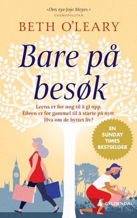Omslag: Bare på besøk av Beth O'Leary