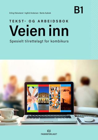 Veien inn