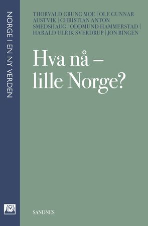 Hva nå - lille Norge?