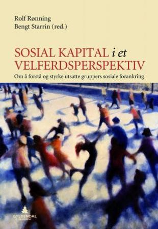 Sosial kapital i et velferdsperspektiv
