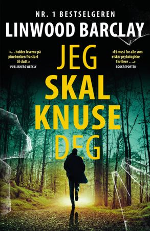 Jeg skal knuse deg