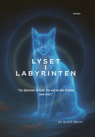 Lyset i labyrinten