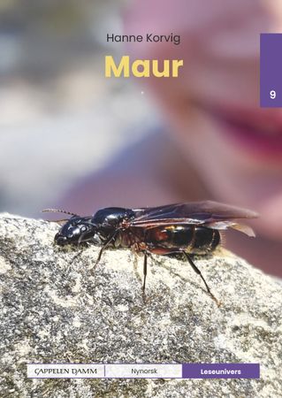 Maur
