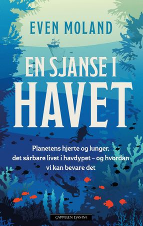 En sjanse i havet