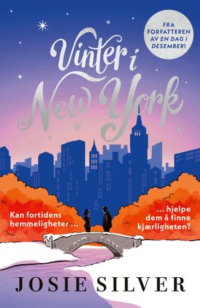 Vinter i New York