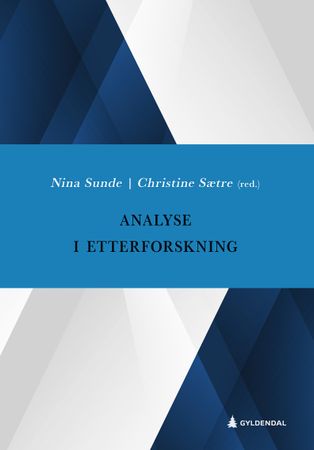 Omslag: Analyse i etterforskning av Nina Sunde