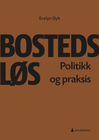 Omslag: Bostedsløs av Evelyn Dyb
