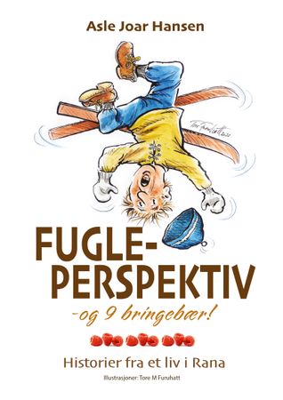 Fugleperspektiv og 9 bringebær