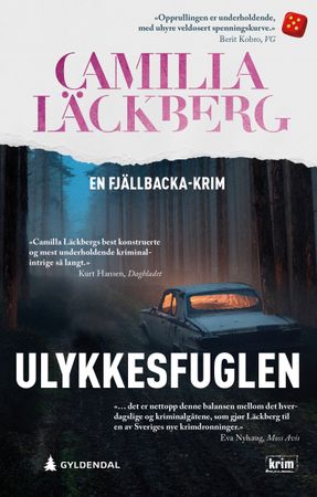 Omslag: Ulykkesfuglen av Camilla Läckberg