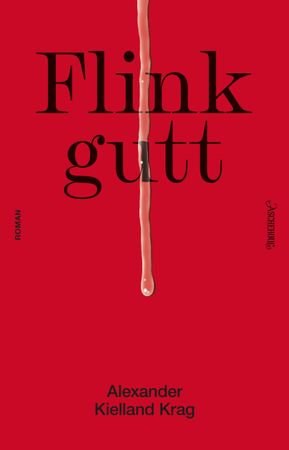 Flink gutt: roman
