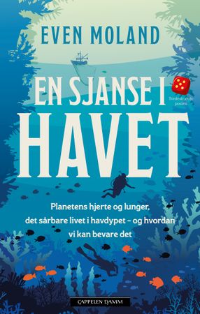 En sjanse i havet