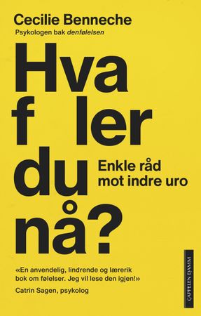 Omslag: Hva føler du nå? av Cecilie Benneche