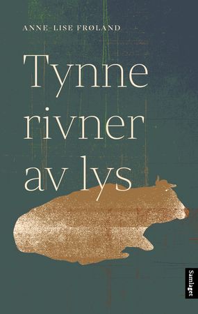 Tynne rivner av lys: roman