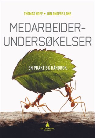Medarbeiderundersøkelser
