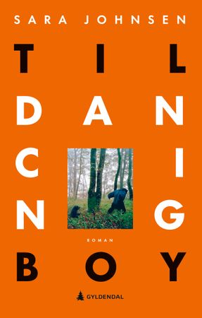Omslag: Til dancing boy av Sara Johnsen