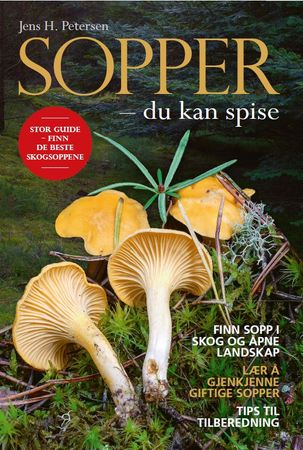 Sopper
