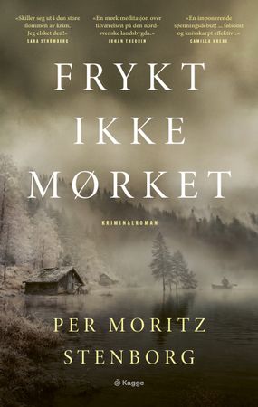 Frykt ikke mørket: kriminalroman