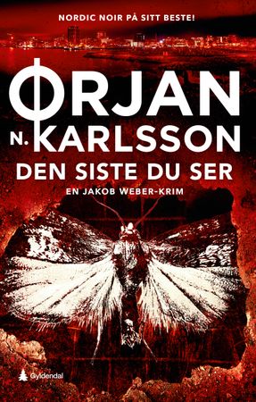 Den siste du ser: kriminalroman