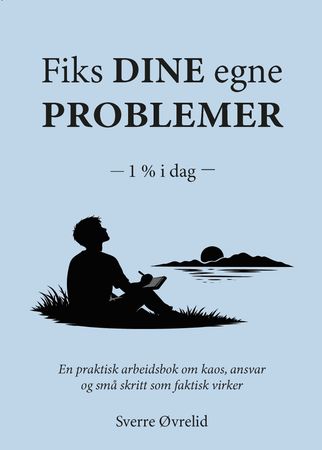 Fiks dine egne problemer: 1 % i dag : en praktisk arbeidsbok om kaos, ansvar og små skritt som faktisk virker